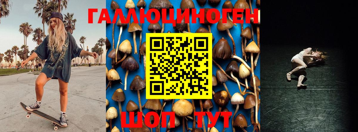 Псилоцибиновые грибы Psilocybine cubensis  Вход с VPN  Рассказово 