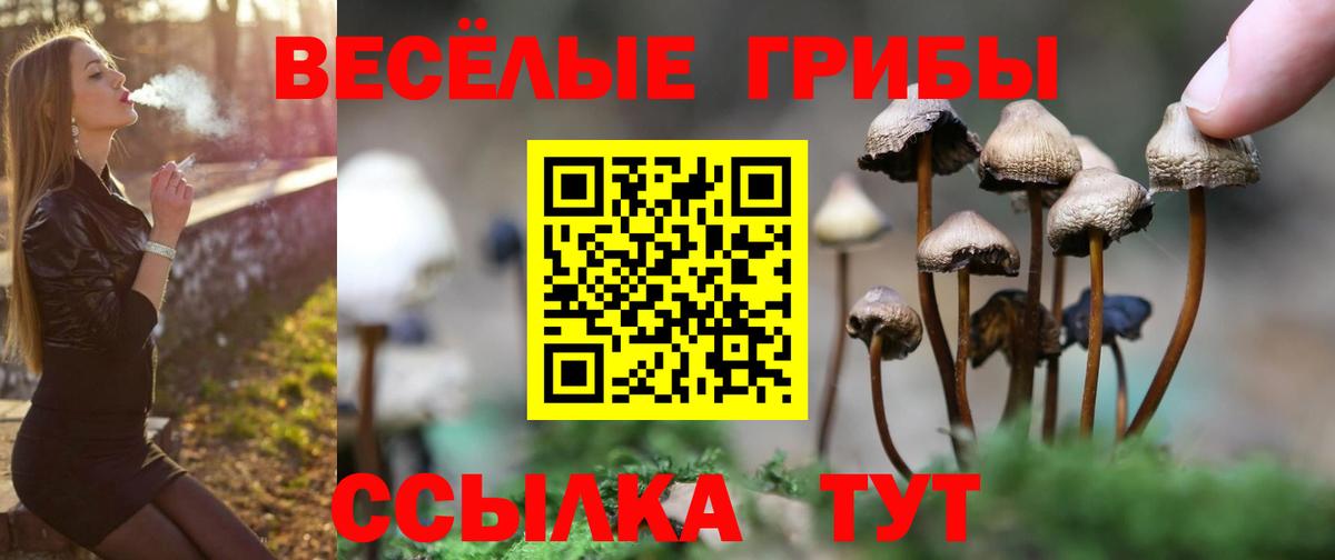 Галлюциногенные грибы мухоморы Рассказово